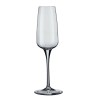 BICCHIERE AURUM CALICE FLUTE 23 Cl Pz 6