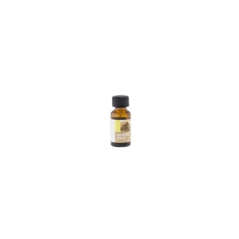 OLIO PROFUMATO PER BRUCIATORI CON CONTAGOCCE 10 ML ZENZERO DOLCE