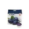 CANDELE TEALIGHT 3,5 ORE 25 Pz MIRTILLO