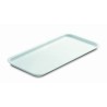 VASSOIO ESPOSIZIONE BIANCO CM 28x19