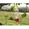 ricetta utilizzo trappola biologica per mosche tap trap