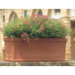 VASO CASSETTA MILLERIGHE CM 80