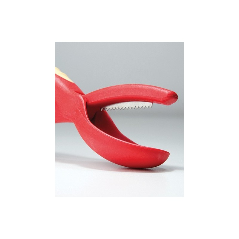 COLTELLO PER CASTAGNE SNIPS
