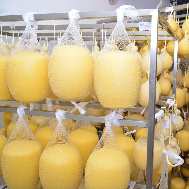 RETE MOPLEN PER CACIOCAVALLO 140 FILI MT 1000 BIANCA