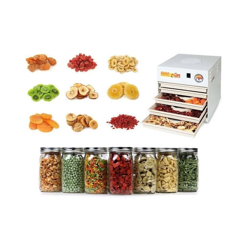 essicca frutta elettrico con aria calda 1100 W