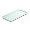 VASSOIO ESPOSIZIONE BIANCO CM 40x30
