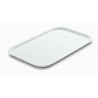 VASSOIO BIANCO GILLY 46 X 30