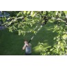 Forbici da potatura professionale telescopica UP86 - Fiskars