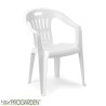 Sedia in plastica mono blocco con braccioli Piona Bianca - Progarden