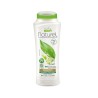 Shampoo Winnis Naturel 250 ml The Verde - Capelli grassi