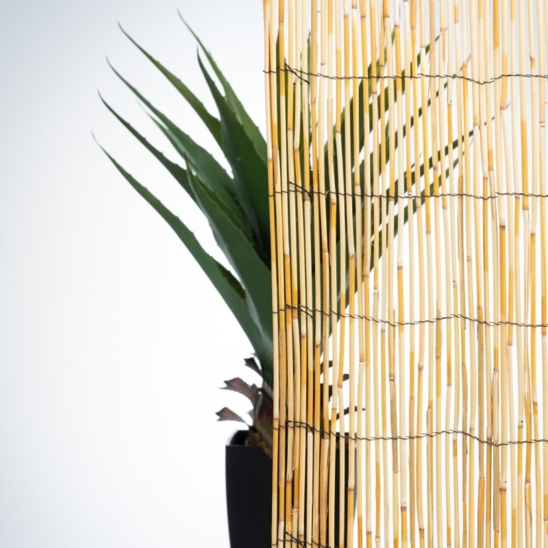 ARELLE DI BAMBOO CM 150 X 500