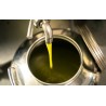Bidone per trasporto e stoccaggio olio d'oliva extra vergine Europa 50 litri