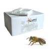 alimento candito per api scatola da 20 kg - suicra