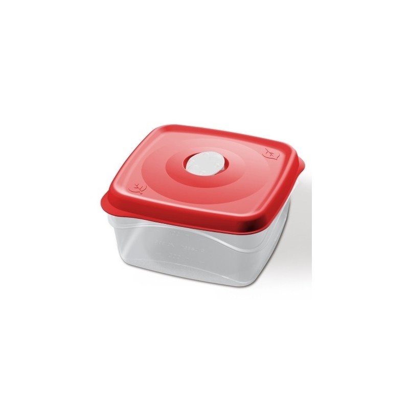 CONTENITORE FRIGO FRESKA QUADRO 2 Lt