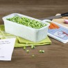 Contenitore per freezer in set da 3 pezzi