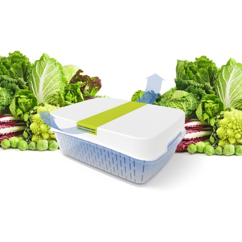 Rotho Fresh box per verdure da 6,4 lt