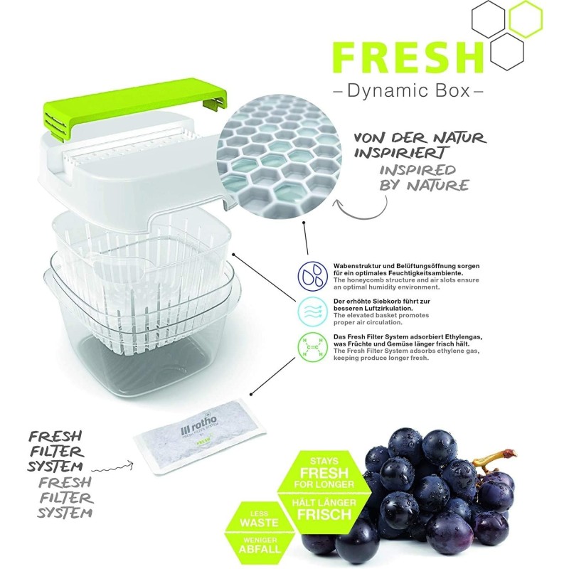 Rotho sistema fresh box anti odore salva aroma frutta e verdura