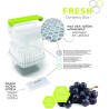 Rotho sistema fresh box anti odore salva aroma frutta e verdura