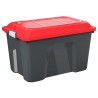 Cassetta professionale porta oggetti Locker Rotho 60 lt