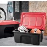 Cassa contenitore professionale LOCKER 60 lt