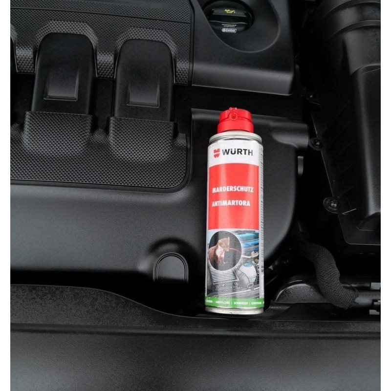 Trattamento repellente per topi e martori nel vano motore auto