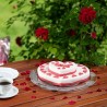 Torta a forma di cuore con stampo - ragstore