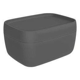 Scatola box porta oggetti moderno Sofia Rotho Antracite