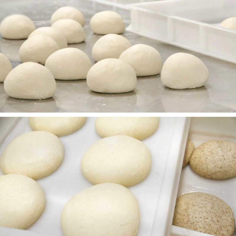 Cassettino per lievitare impasto Pizza cm 30x40x10 h con coperchio