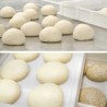 Cassettino per lievitare impasto Pizza cm 30x40x10 h con coperchio