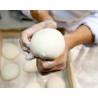 Cassettino per lievitare impasto Pizza cm 30x40x10 h con coperchio