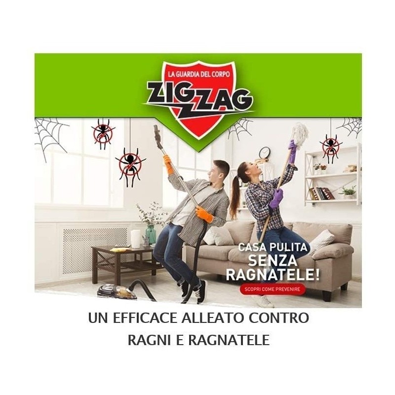 Insetticida per ragni Zig Zag Magna Tela per ambienti interni