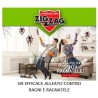 Insetticida per ragni Zig Zag Magna Tela per ambienti interni