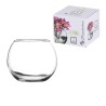 VASO PORTAFIORI IN VETRO GLOBO ART. 43407 CM  9x8