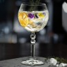 RCR - Calice Alkemist per Gin tonic da 58 cl - Conf da 6 bicchieri