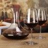 Decanter per vino rosso della rcr con 6 calici