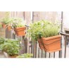 FIORIERA RETTANGOLARE IRIS CM 50 CON SUPPORTO