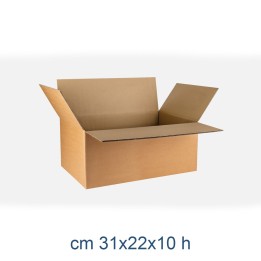 SCATOLA CARTONE 2 ONDA CM 31x22x10