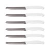 Set di 6 coltelli da carne Master-Cut con manico bianco e lame seghettate ad alta precisione