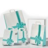 BUSTA CARTA SHOPPER CM 22x10x29 FIOCCO TIFFANY