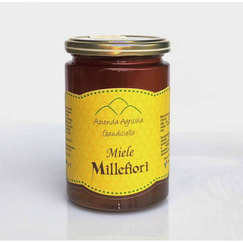 MIELE MILLEFIORI IN BARATTOLO DA  500 GR