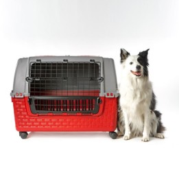 Trasportino Easy Tour per cani da bagagliaio auto - Bama | RagStore