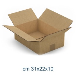 SCATOLA CARTONE 1 ONDA CM 31x22x10