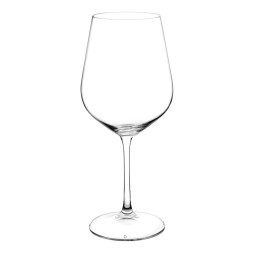 Calici in vetro per vino bianco modello Railto Vidivi