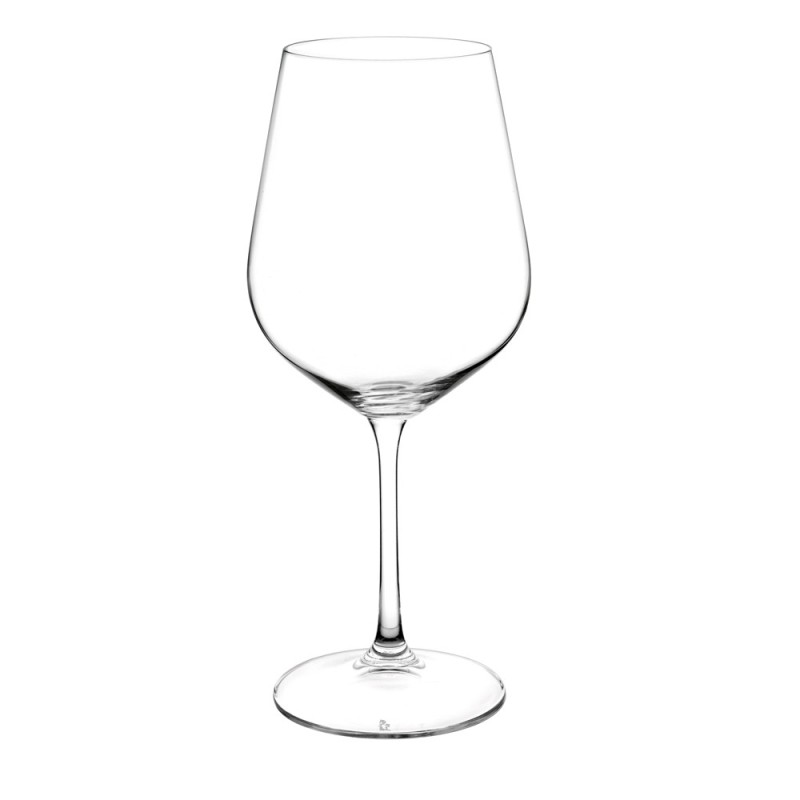 Calici in vetro per vino bianco modello Railto Vidivi