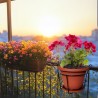 Set fioriera per balcone con baso rotondo per fiori