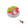 ESCA ANTIFORMICHE PROFESSIONALE GEL 10 Gr
