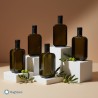 Bottiglie eleganti per olio da 500 ml - Idea regalo per natale