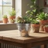 secchio in metallo utilizzato come porta vaso per piante grasse - ragstore