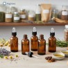 Set 6 Boccette Ambrate 50 ml con Contagocce | Ragstore