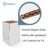 Scatola Spedizione 4 Lattine 5 Lt – Cartone Doppia Onda | Ragstore